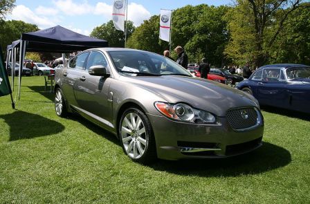XF